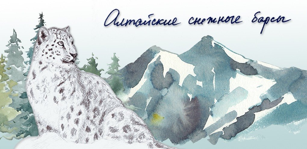 Плакат в поддержку снежного барса. Снежный Барс Алтай. День снежного Барса. Снежный Барс рисунок. Снежный Барс плакат.
