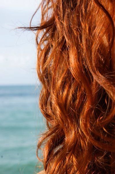 Ветелкина Ольга