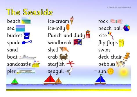Beach Vocabulary