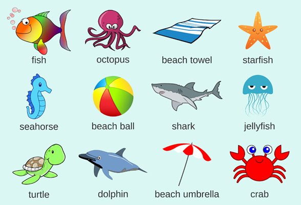 Слова на тему море на английском