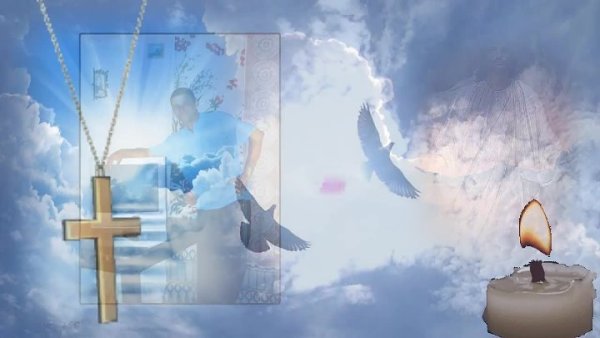 Голубь в небе Вечная память