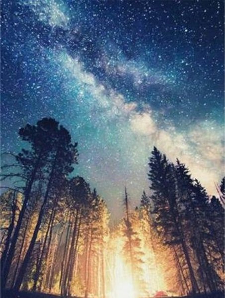 Красивая ночь