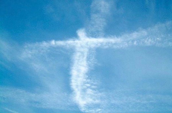 Птицы в облаках