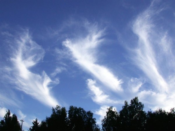 Стихия воздуха