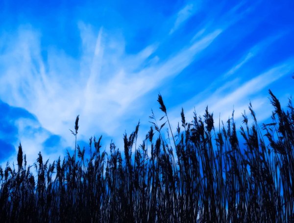 Домик на лужайке