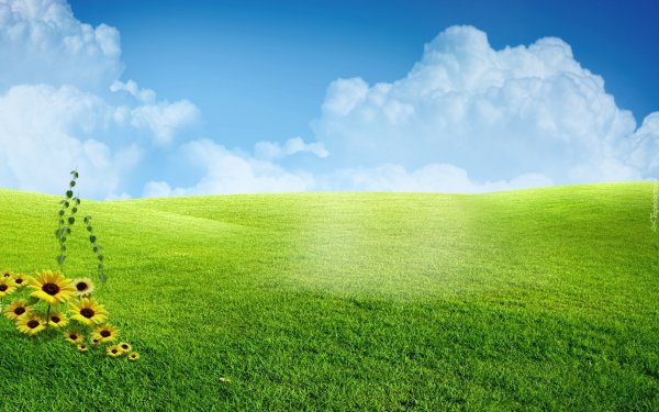 Зеленая Поляна голубое небо