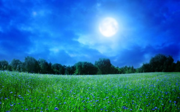 Солнце и зелень