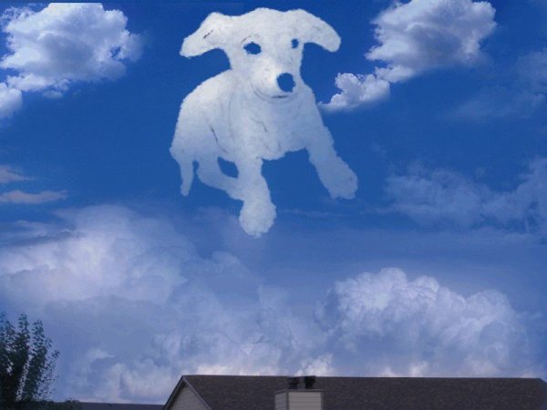 Облака в виде животных