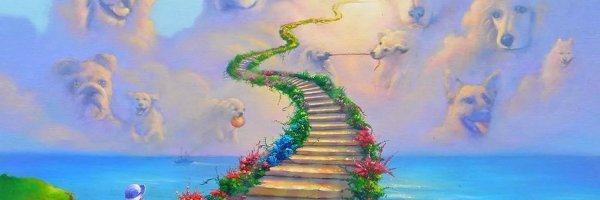 Собака на небесах