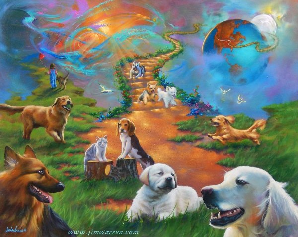 Лестница в небо Джим Уоррен