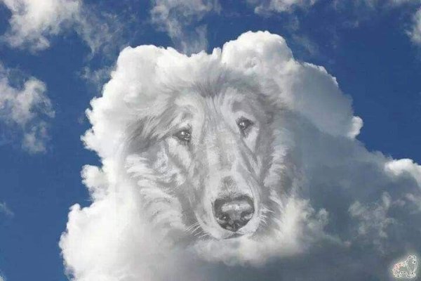 Радужный мост Джим Уоррен