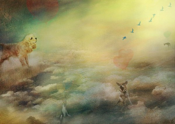 Собачья душа