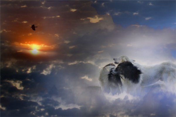 Собака облачко