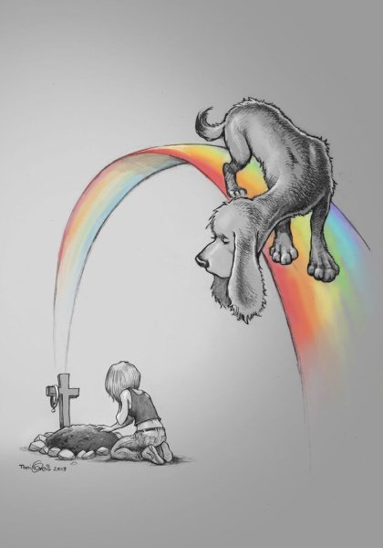 Собаки уходят за радугу