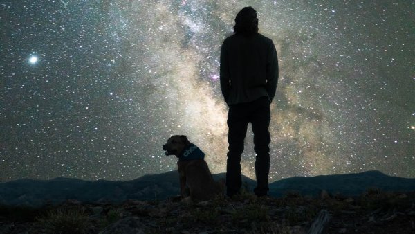 Животные на радуге