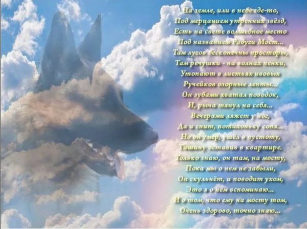 Стихи на смерть собаки