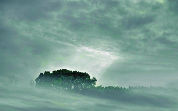 Туманные облака