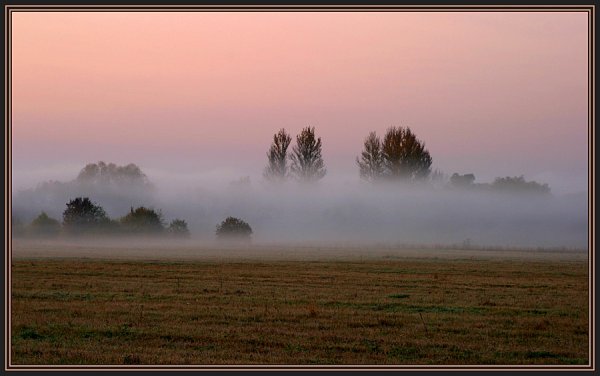 Туман на полях осенью
