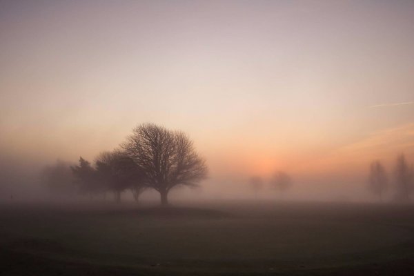Серо коричневый пейзаж