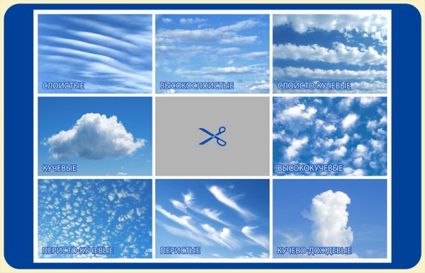 Фон для стенда