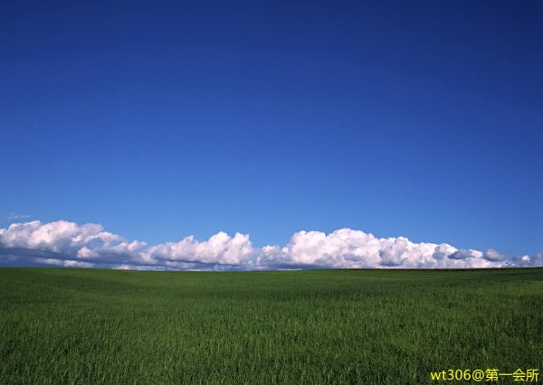 Голубое небо и земля