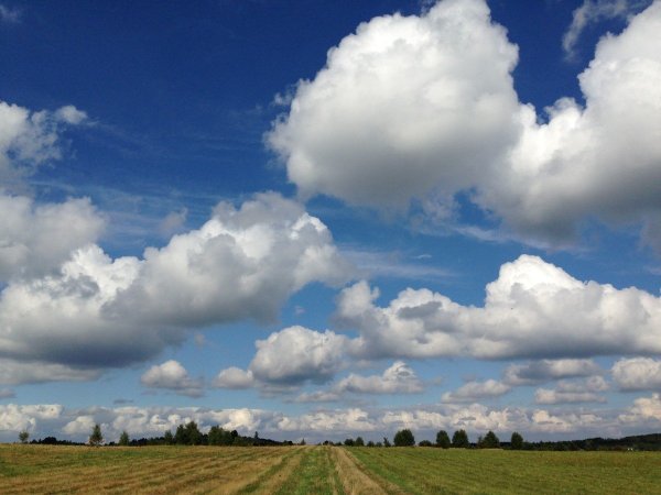 Поле панорама