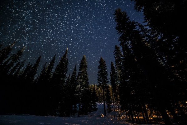 Зимнее ночное небо