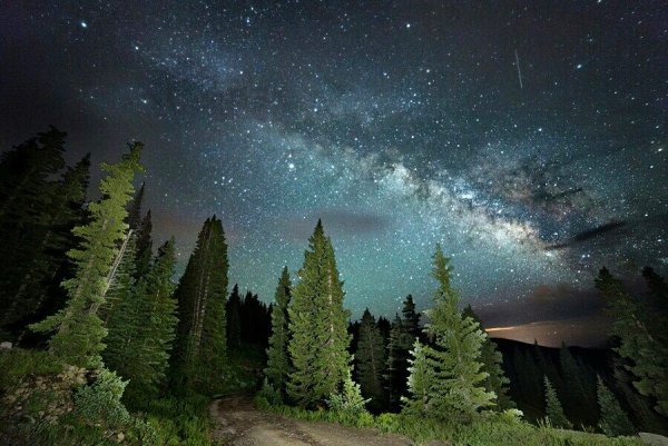 Тайга ночью