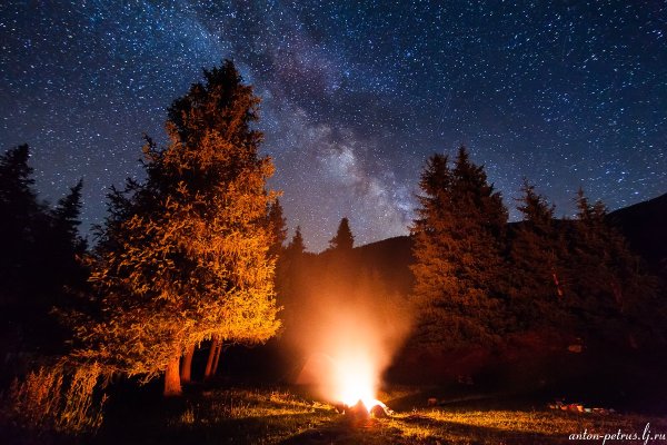Звездное небо Starry Sky
