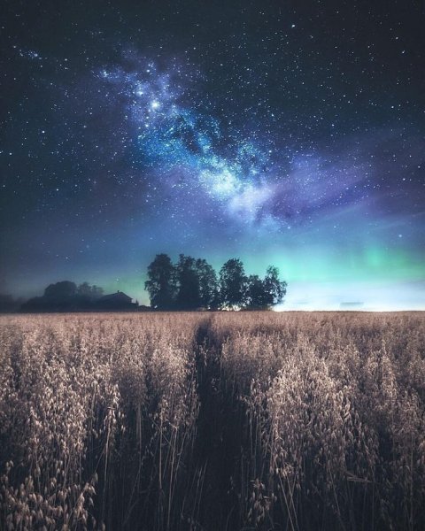 Сиреневая ночь