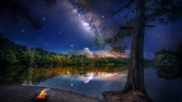 Ночная природа