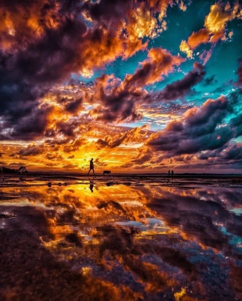 Розовый закат