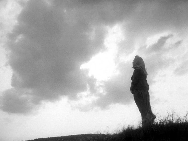 Крылья в небе