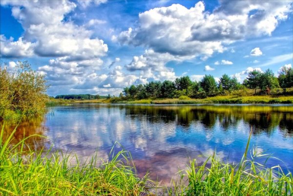 Лес, речка, голубое небо