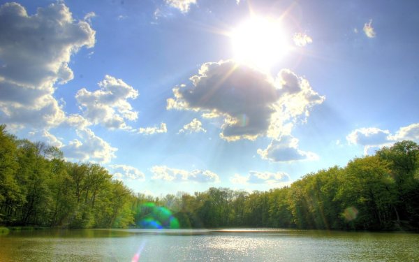 Лес озеро солнце