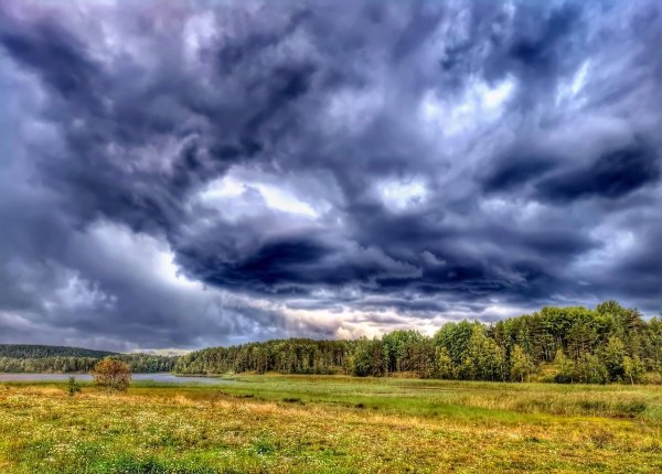 Перед грозой