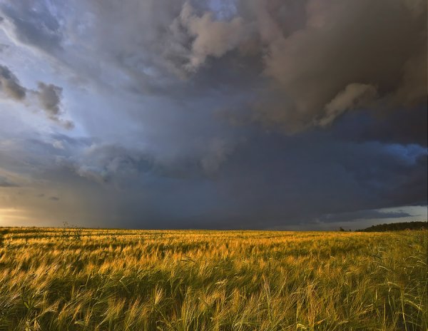 Небо перед грозой