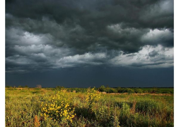 Вечер перед грозой