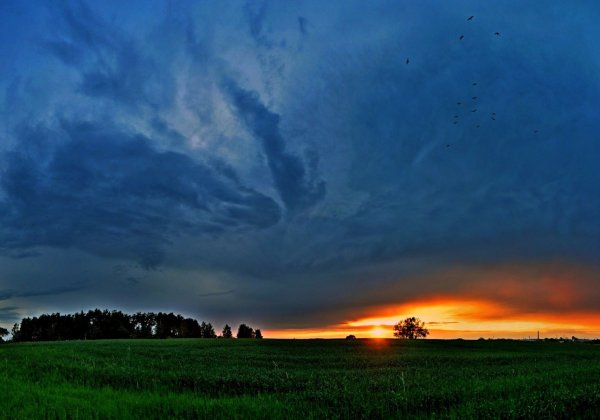 Облака перед грозой