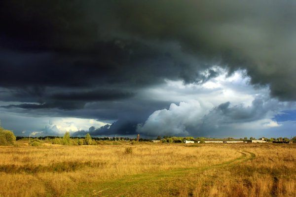 Перед грозой