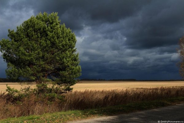 Пейзаж перед грозой