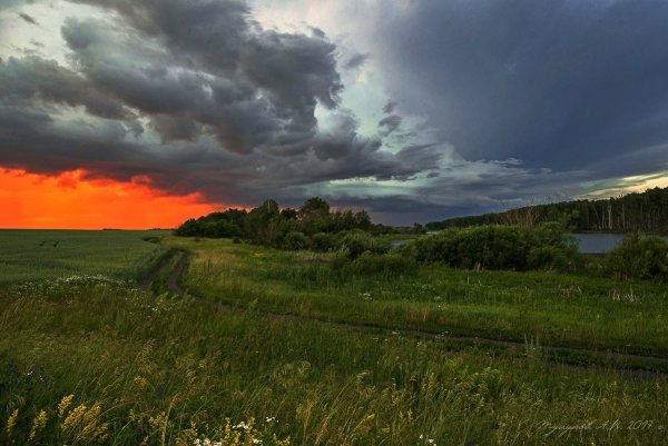 Природа перед дождем