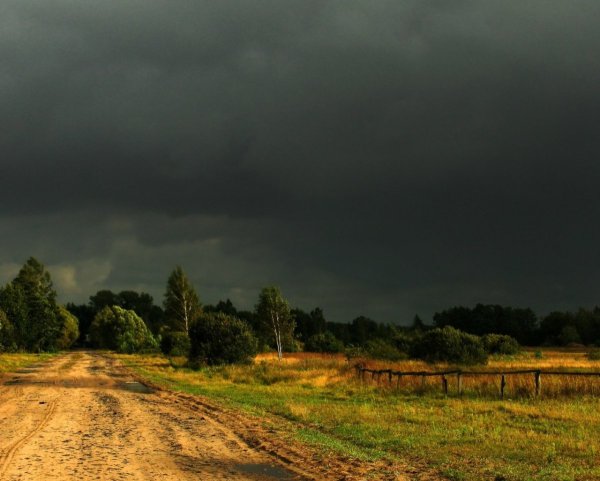 Перед грозой