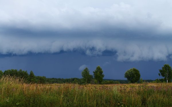 Небо перед дождем