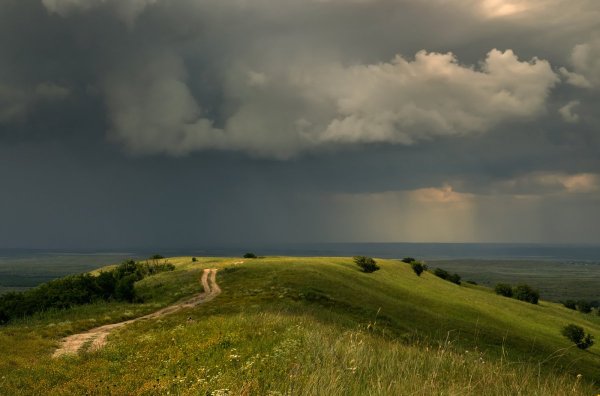 Перед дождем