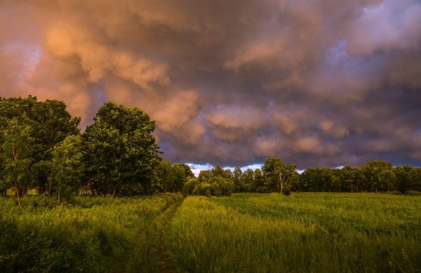 Тютчев перед дождем