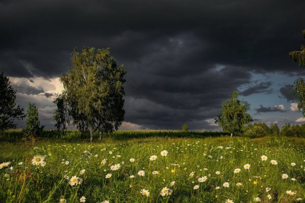 Перед грозой