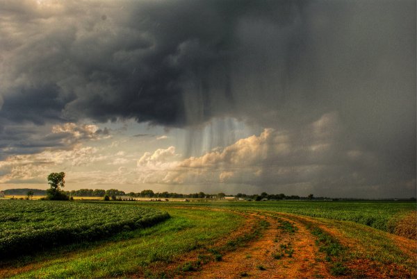 Природа перед грозой