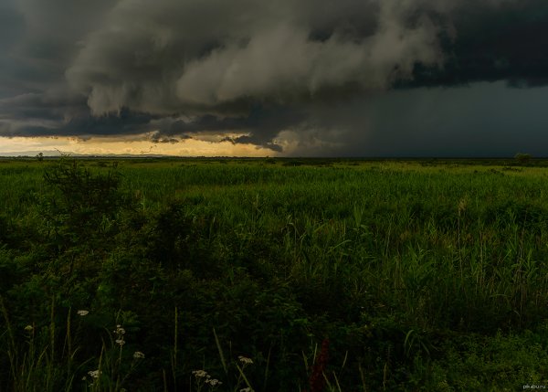 Природа перед грозой