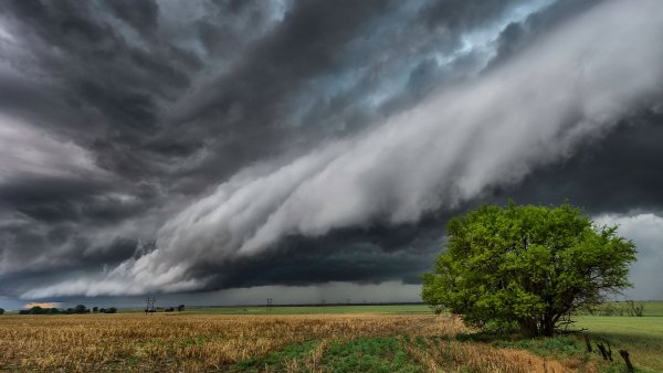 Природа после грозы